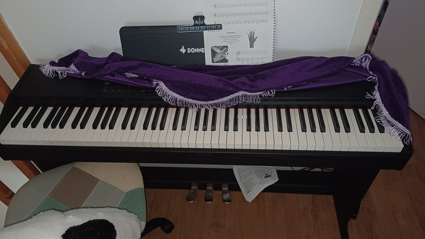 Customer photo review of Donner DDP-95 lesté Piano numérique