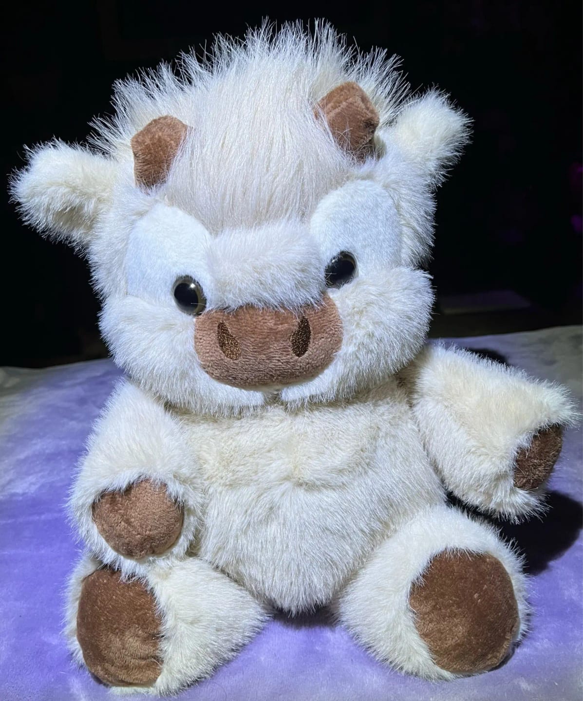Customer photo review of MooDash BoopJoy – La vaquita de peluche que corre