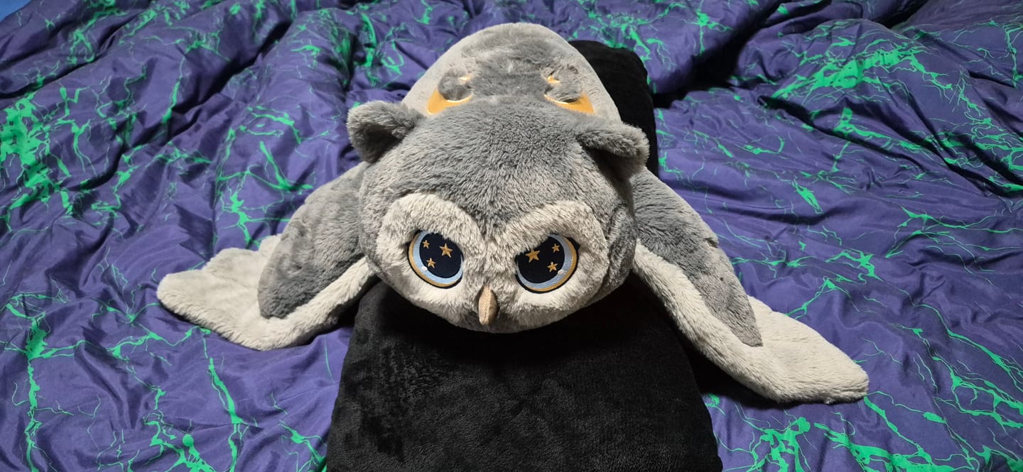 Customer photo review of MeWaii® Owl Weighted Stuffed Animal