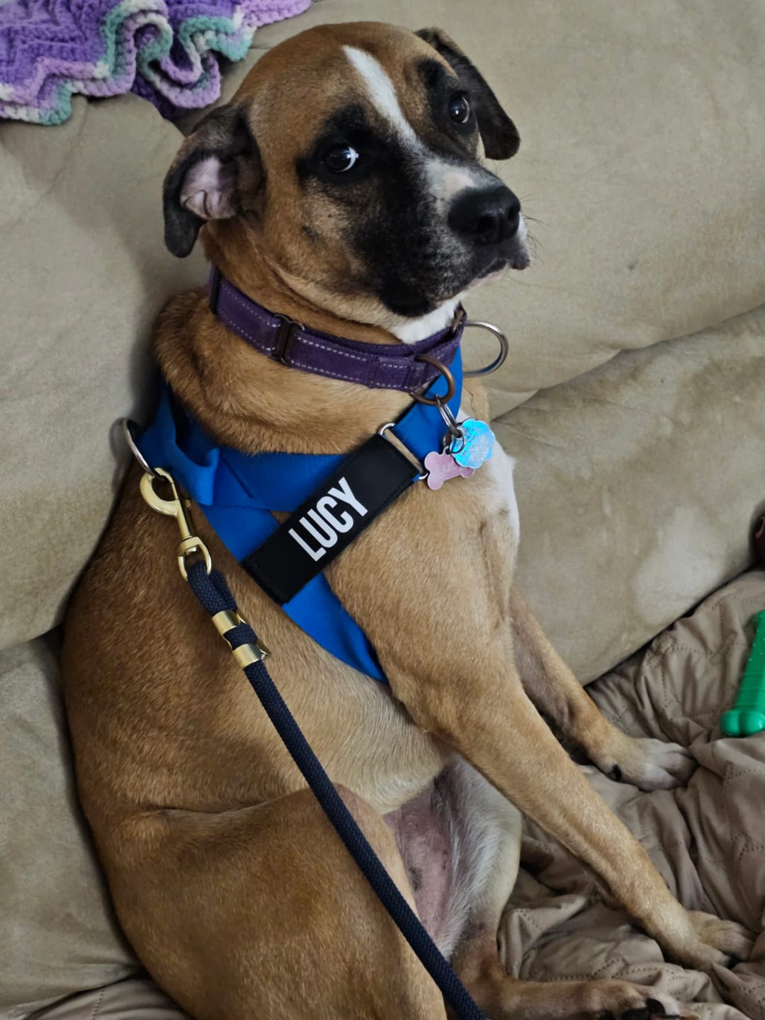 Customer photo review of Custom Name Patch