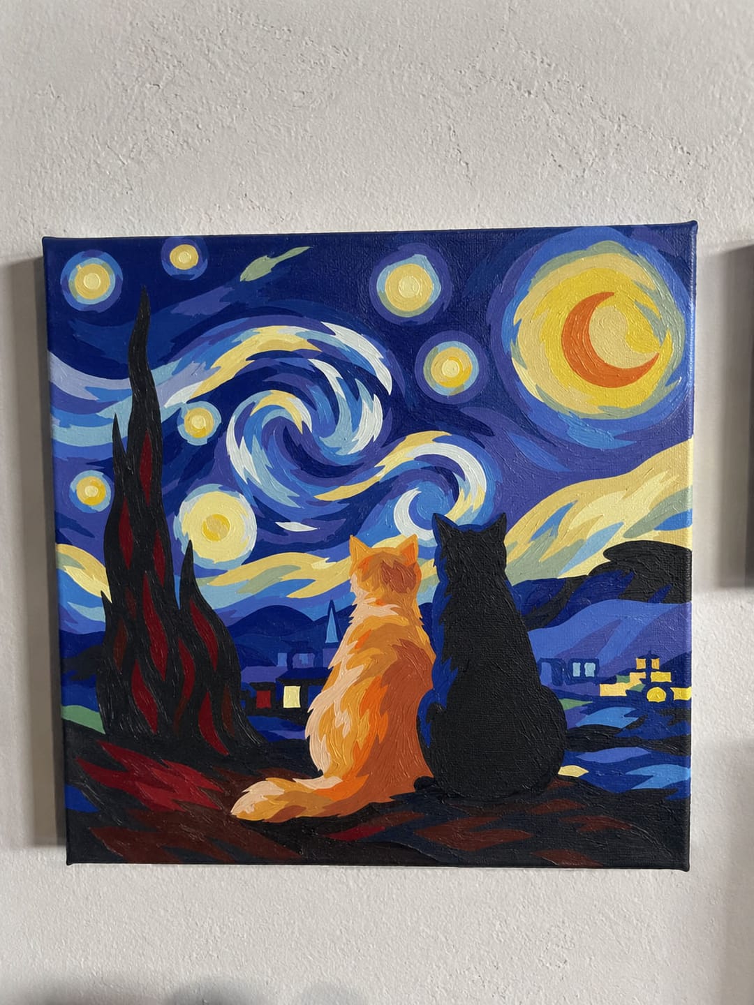 Customer photo review of Mini Peinture par Numéros 20x20cm avec cadre Compagnons nuit étoilée