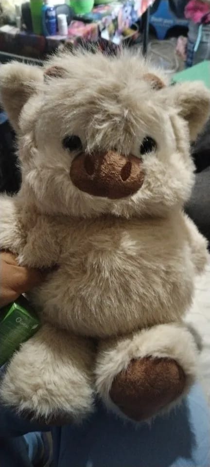 Customer photo review of MooDash BoopJoy – La vaquita de peluche que corre