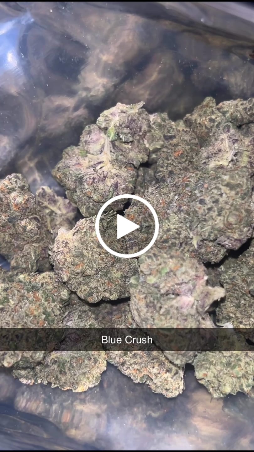 Customer video review of Cheap Indoor THCA Flower Ounce