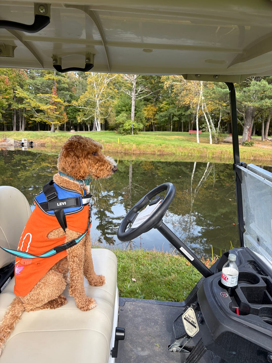 Customer photo review of Dogshood ™ No Pull Harness