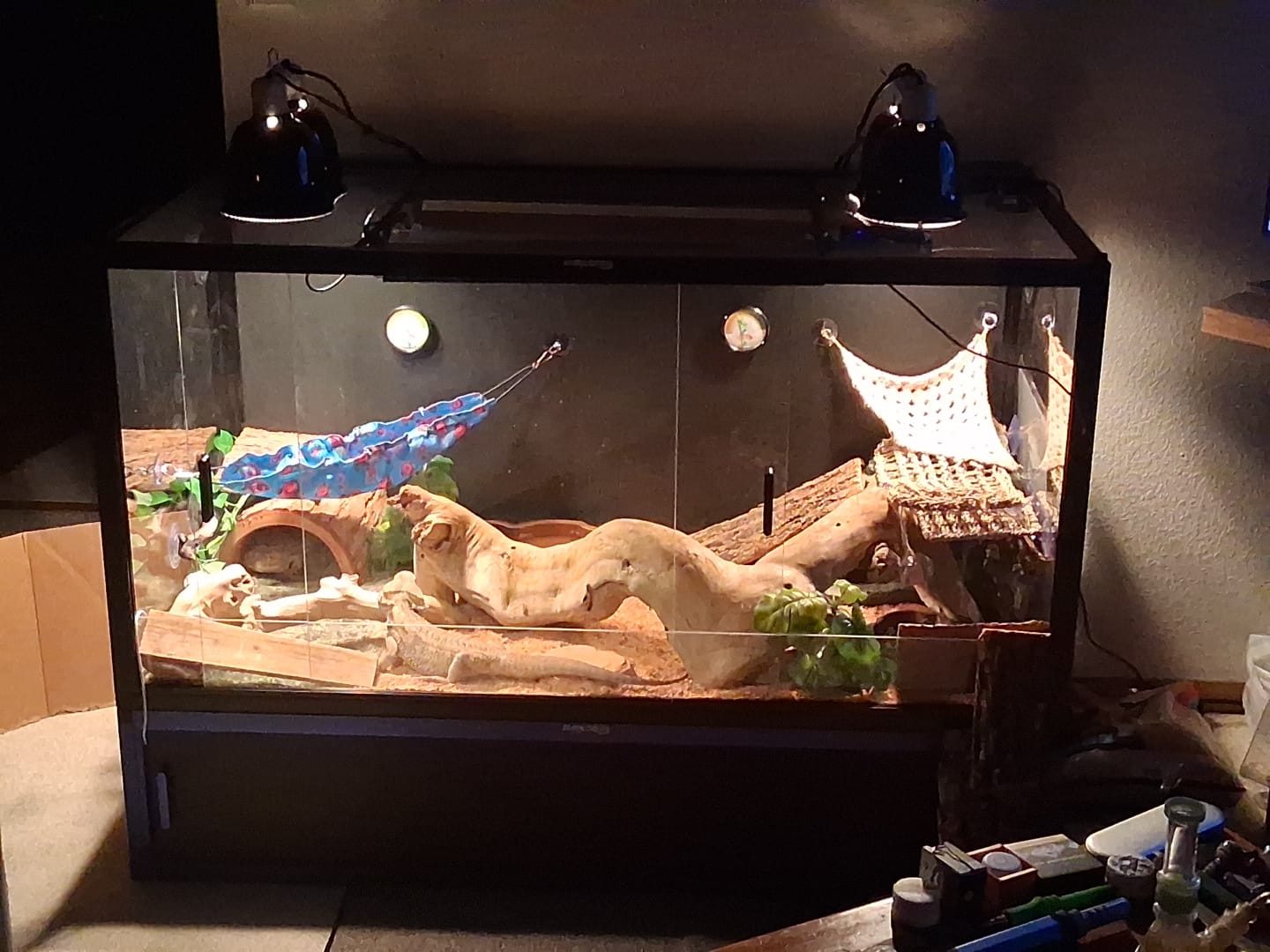 Customer photo review of 120 Gallon Reptile Enclosure - Ideal for Ball Pythons, Bearded Dragons