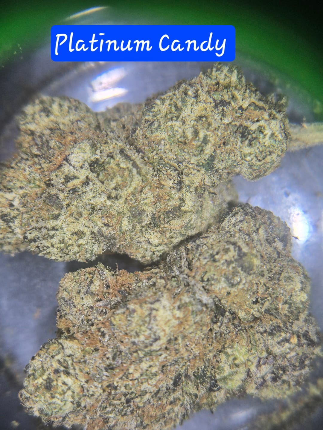 Customer photo review of Exotic Indoor Express THCA Flower (7 Grams)