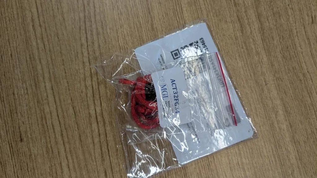 Customer photo review of Ganesh Mukhi Rudraksha – 100% Original & Lab Certified