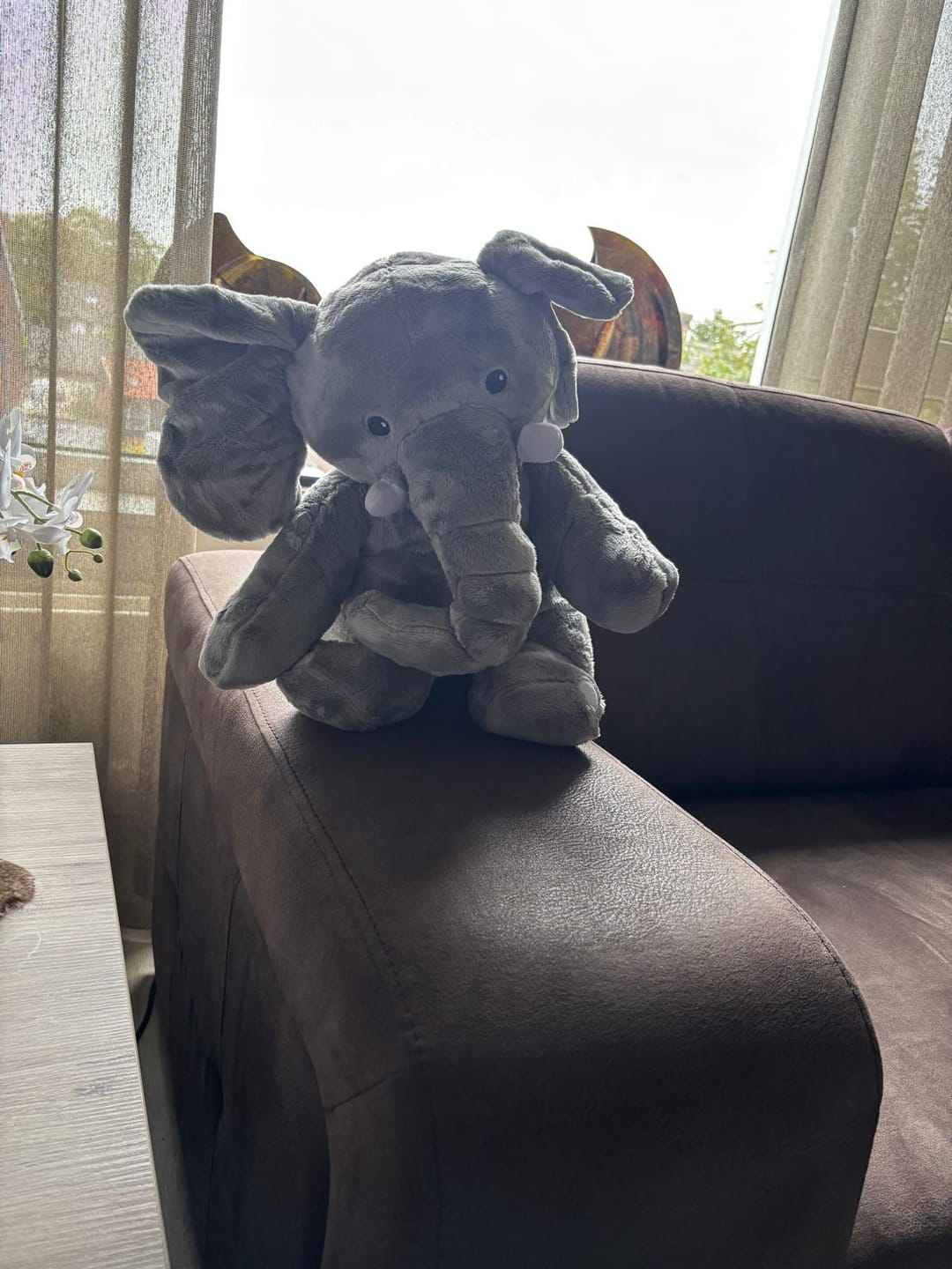 Customer photo review of Lotgenootje Olifant 2kg
