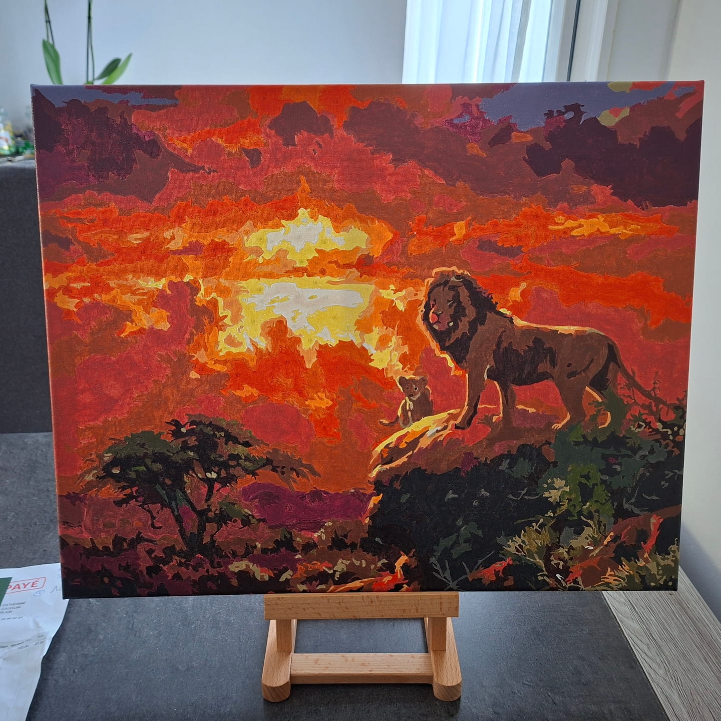 Customer photo review of Lion au coucher de soleil