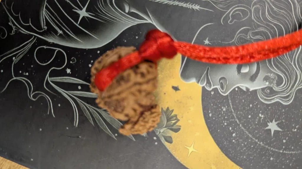 Customer photo review of Nepal Origin Garbh Gauri Rudraksha – 100% Natural & Certified