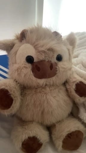 Customer photo review of MooDash BoopJoy – La vaquita de peluche que corre