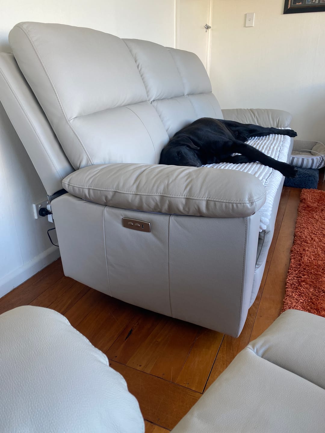 Customer photo review of Cosy Couch - Couch Cover