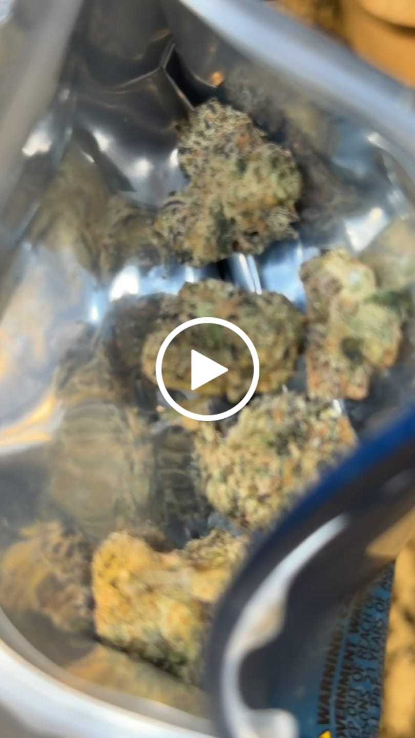 Customer video review of Z41 THCa Flower