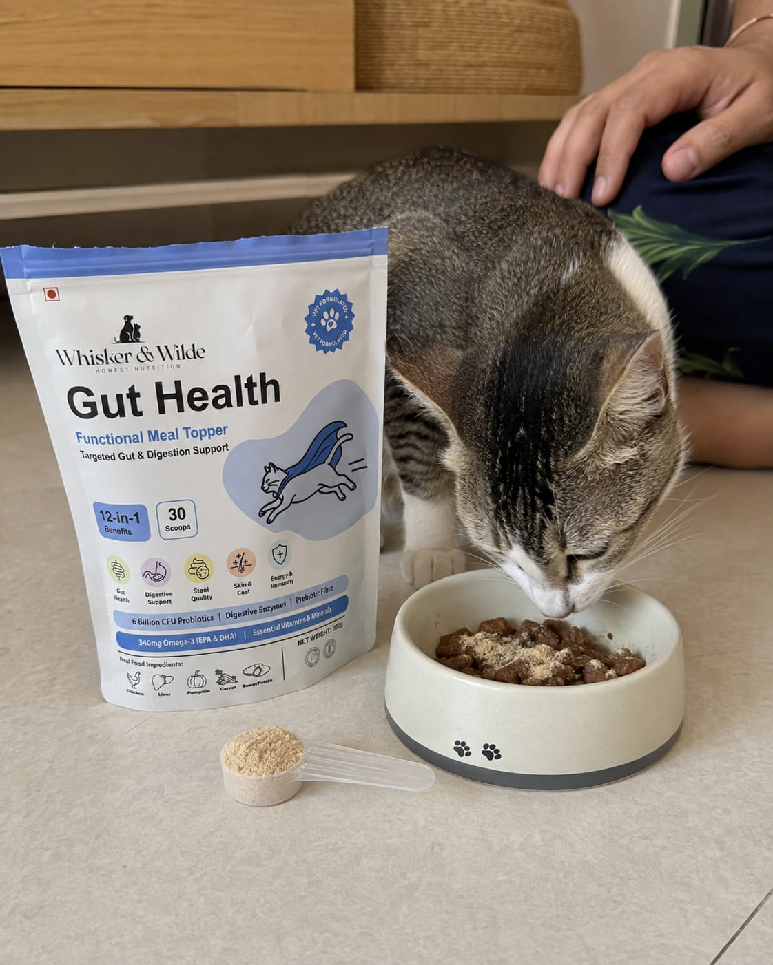 Customer photo review of Gut Health Cat Topper · 6 Billion CFU Probiotics for Loose Stools, Hairballs & Sensitive Stomachs