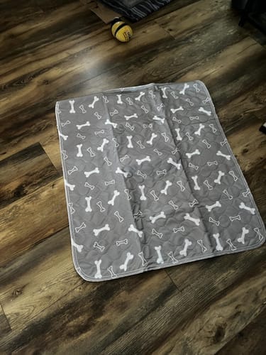 Customer photo review of Mascoly – Empapador lavable con feromonas para perros