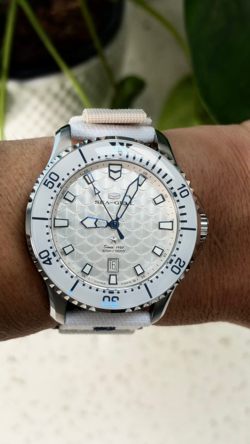 Customer photo review of Ocean Series | Dragon Kings of the Four Seas | Dive | Dual Strap | 44mm