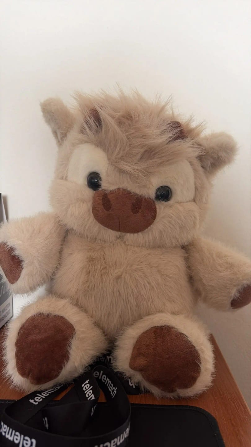 Customer photo review of MooDash BoopJoy – La vaquita de peluche que corre