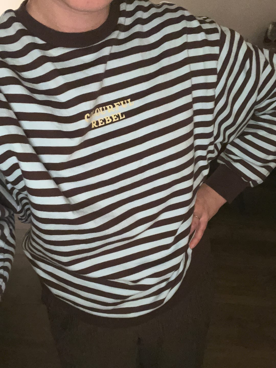 Customer photo review of Logo Striped Sweat | Blue