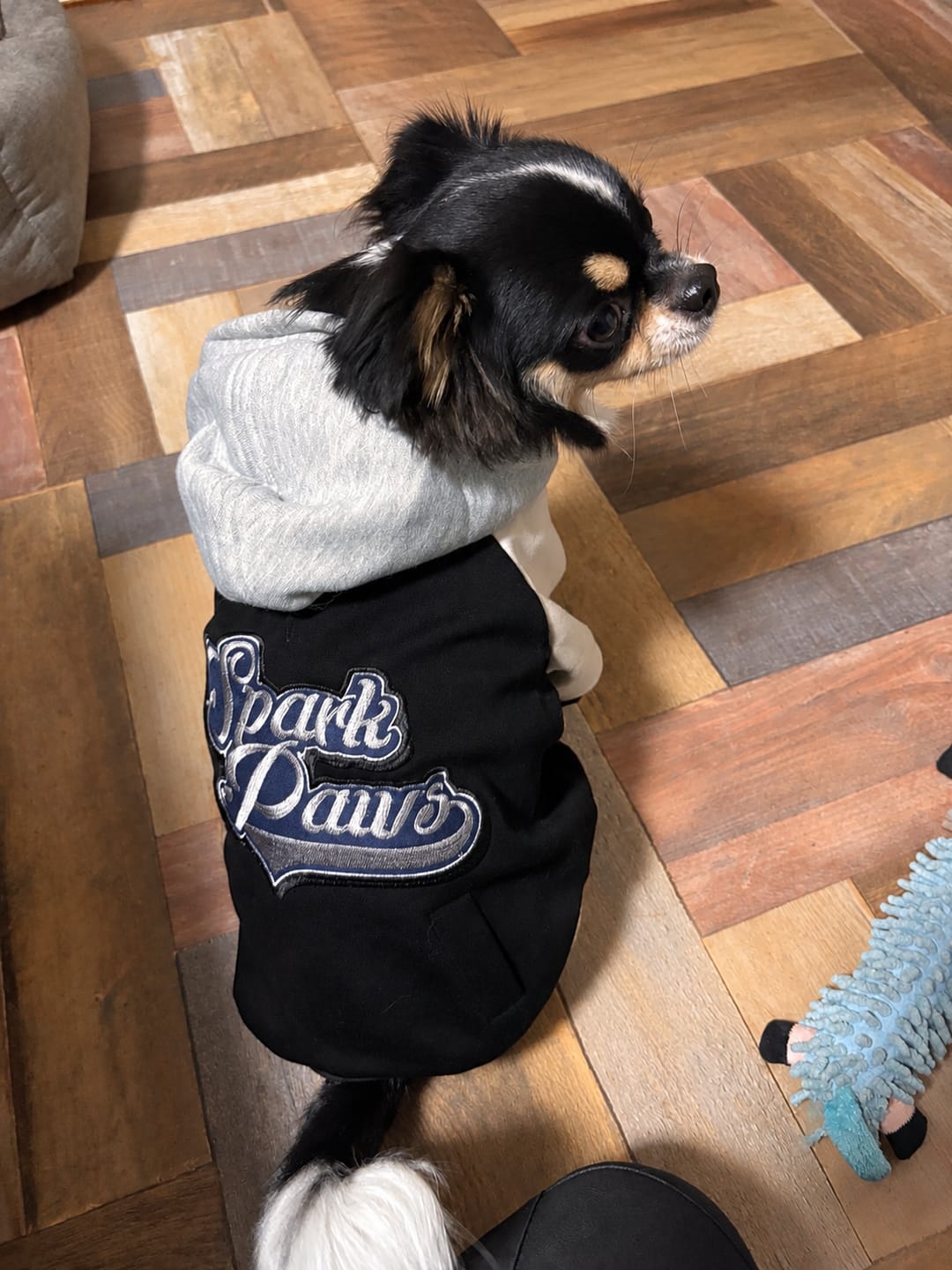 Customer photo review of Dog Varsity Jackets