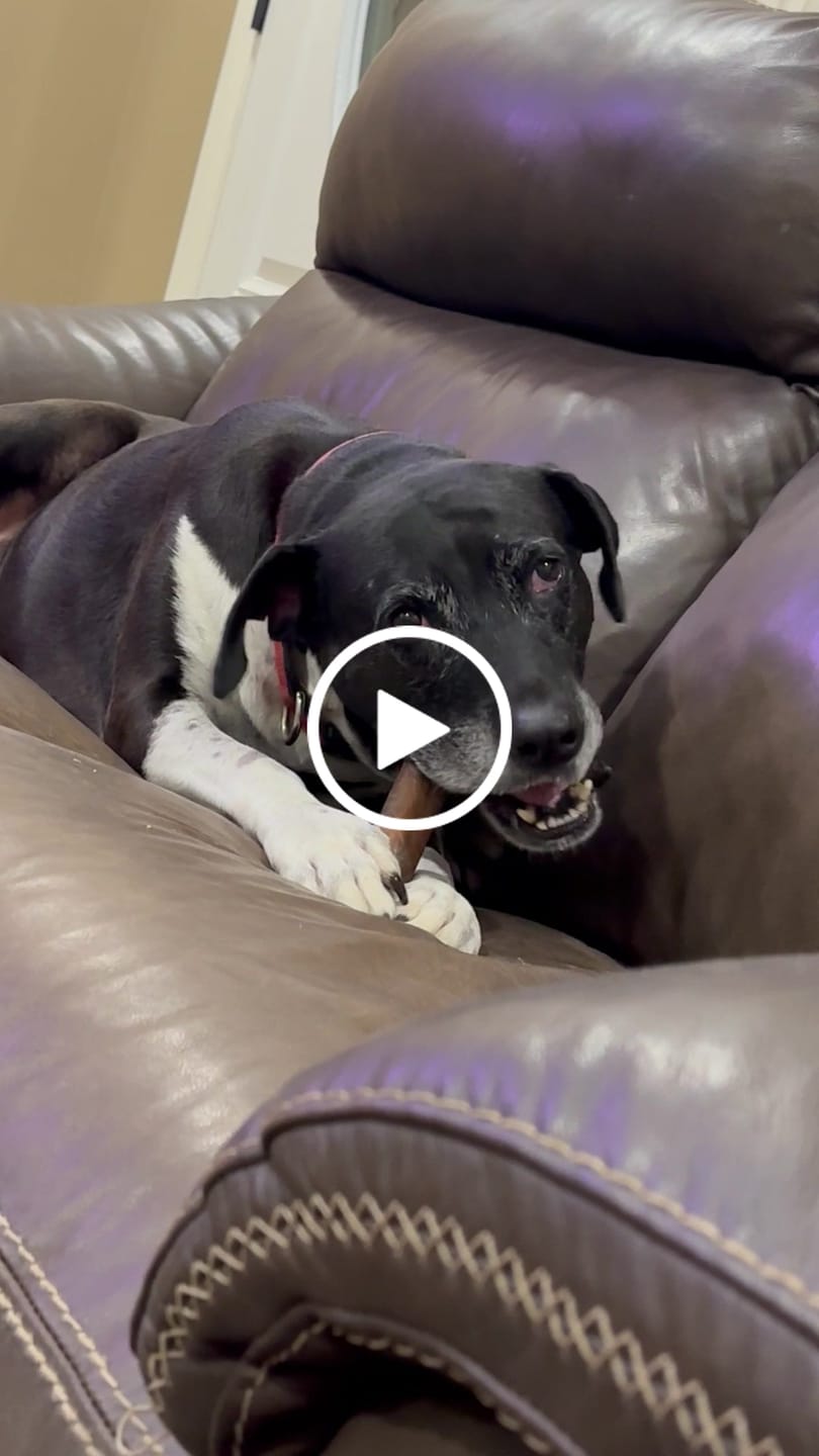 Customer video review of Wholly Pup Gift Card