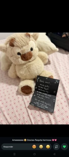 Customer photo review of MooDash BoopJoy – La vaquita de peluche que corre