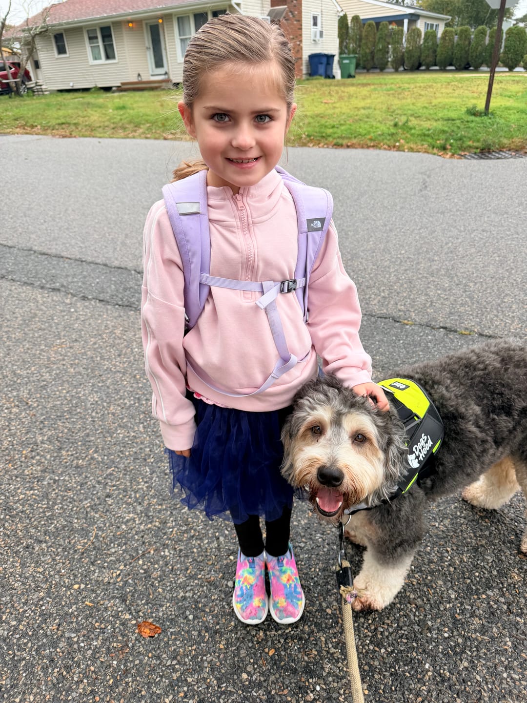 Customer photo review of Dogshood ™ No Pull Harness