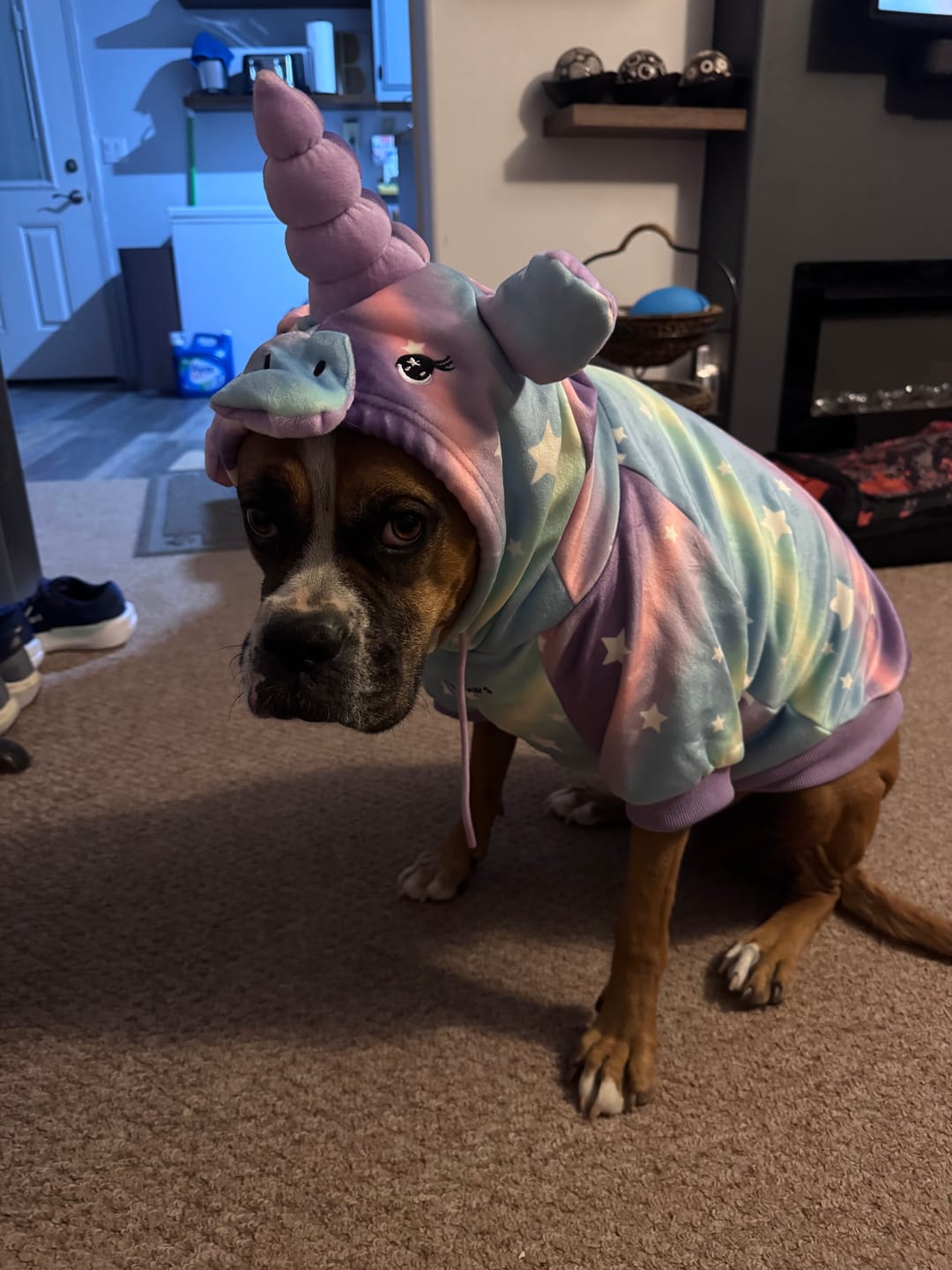 Customer photo review of Halloween Dog Hoodie - Unicorn