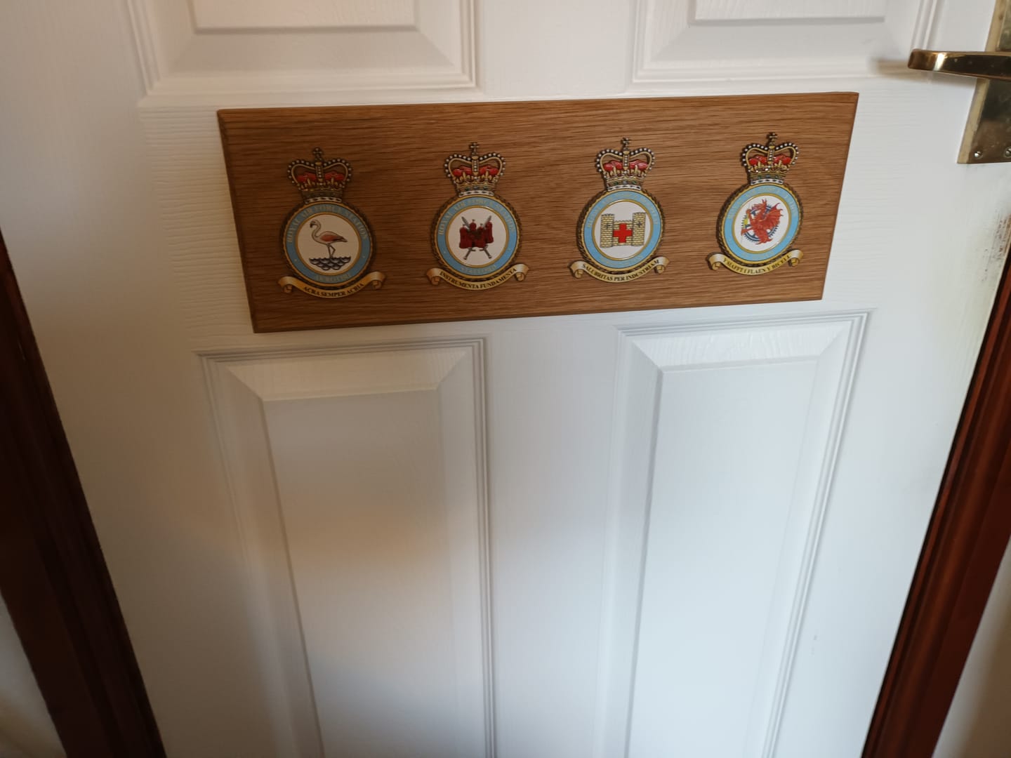 Customer photo review of RAF Badge Wall Plaque