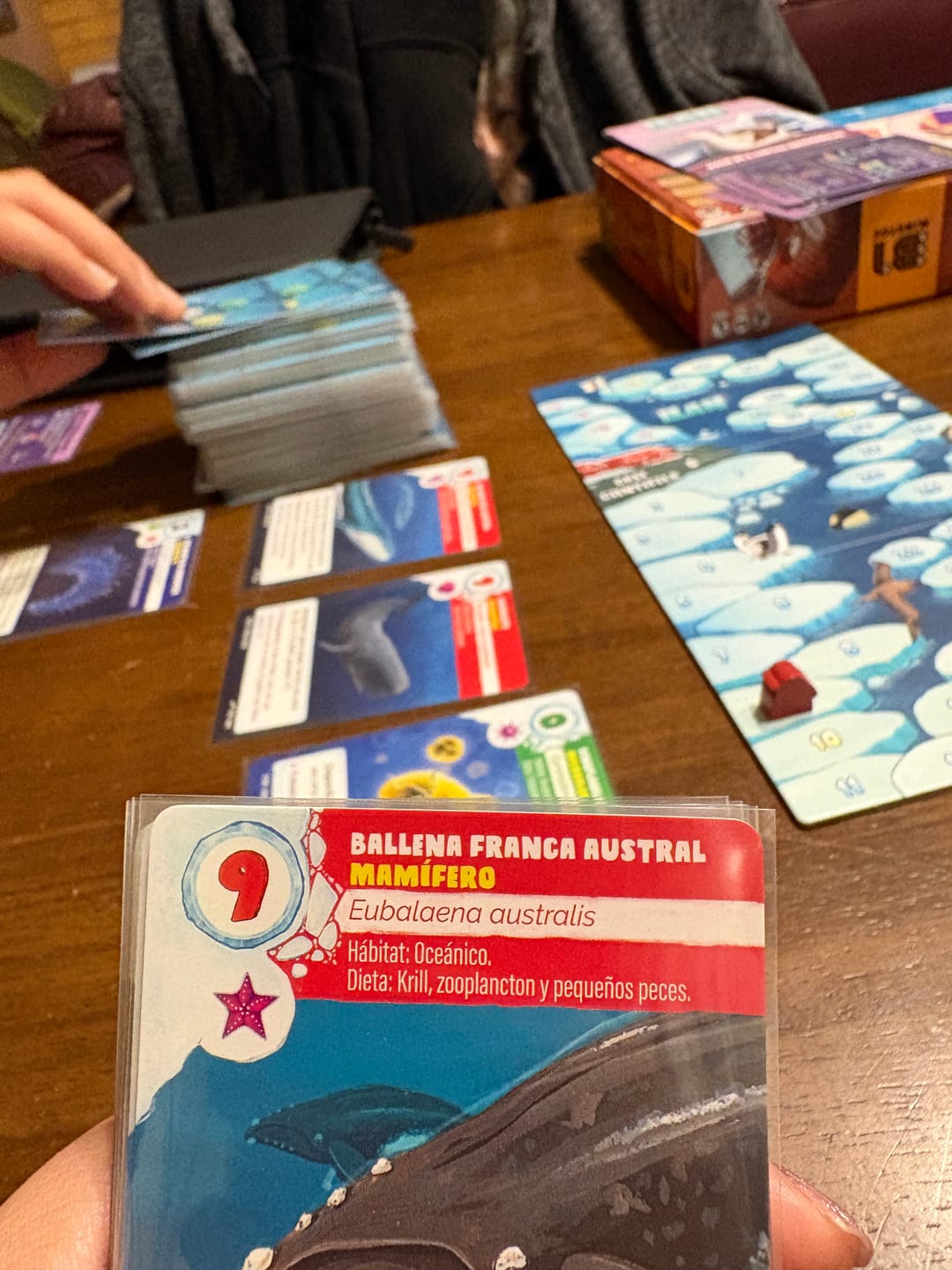 Customer photo review of Mini Expansión ILAN 2025