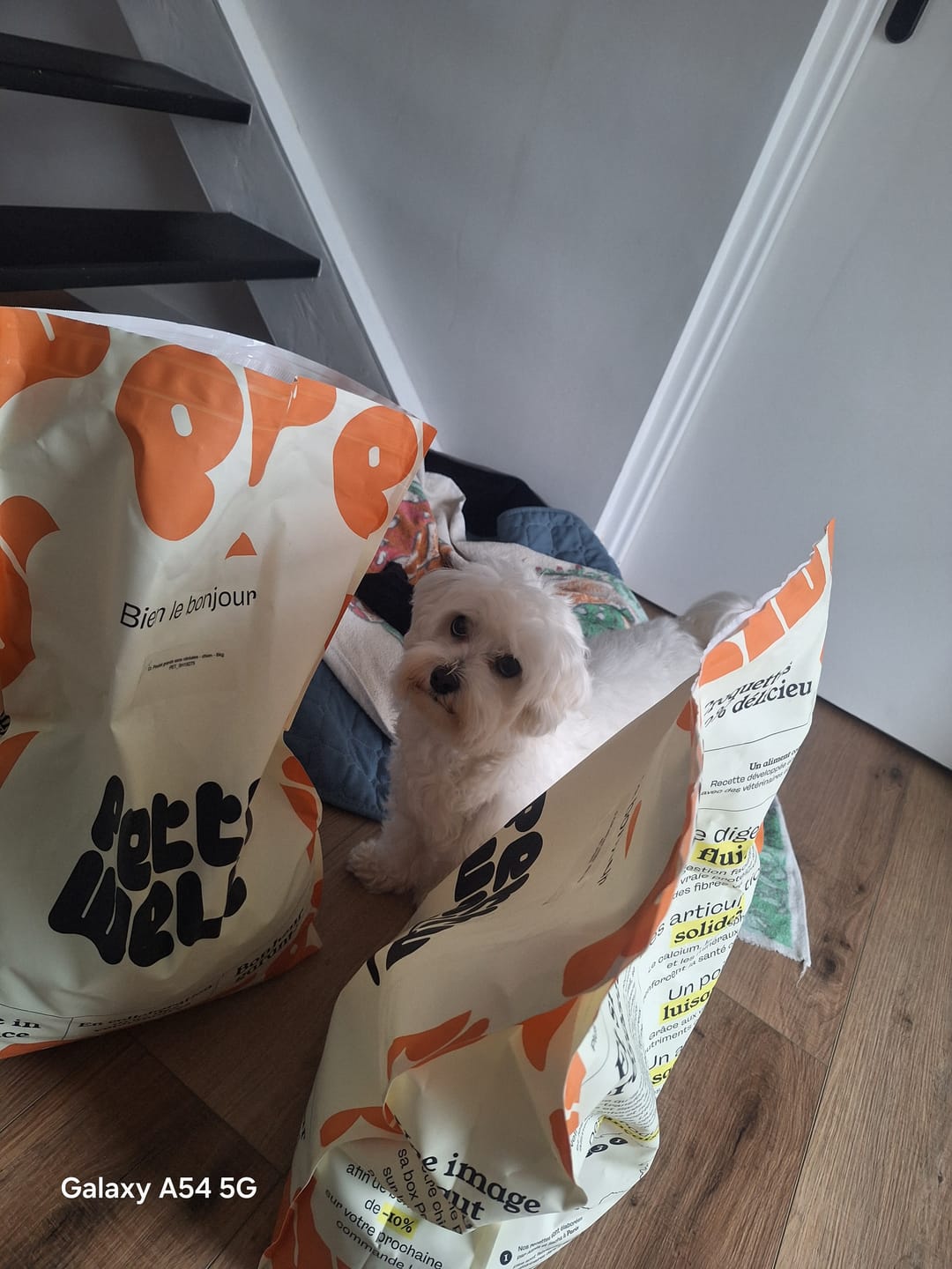 Customer photo review of Croquettes Chien Poulet Sans Céréales Ajoutées, Légumes Toutes Tailles