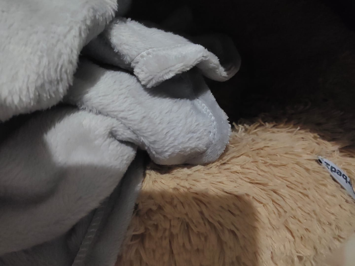 Customer photo review of Manta Relajante para Mascotas