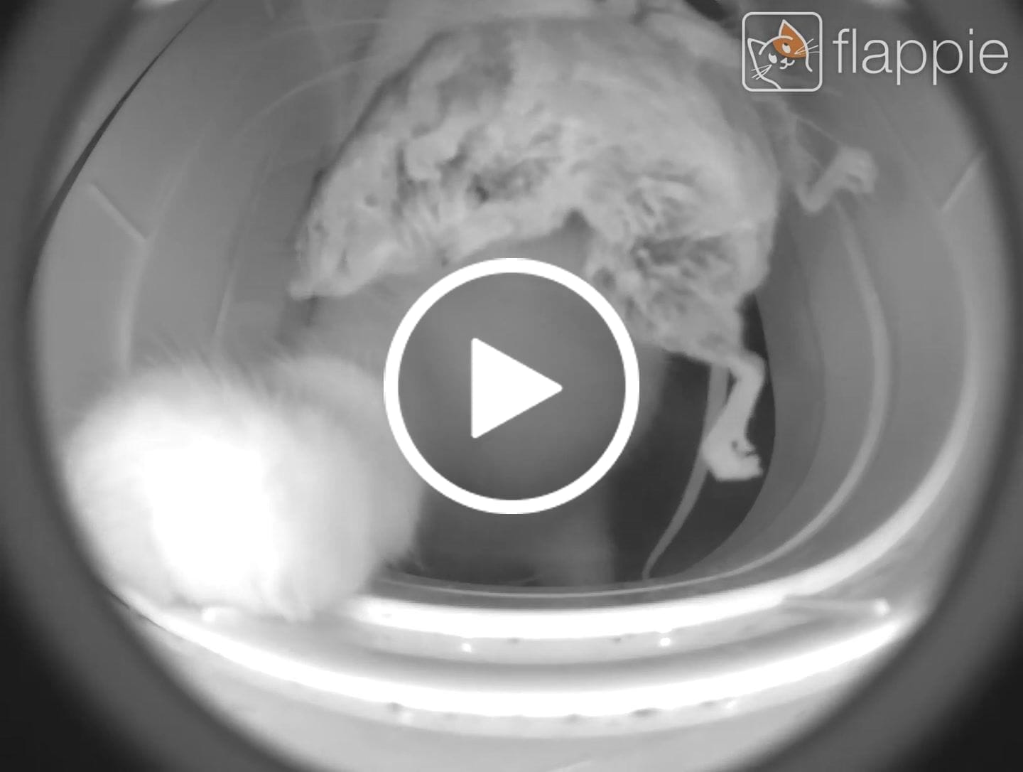 Customer video review of Flappie®