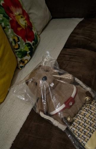 Customer photo review of PawTug™ — The Interactive Beaver Toy for Cats