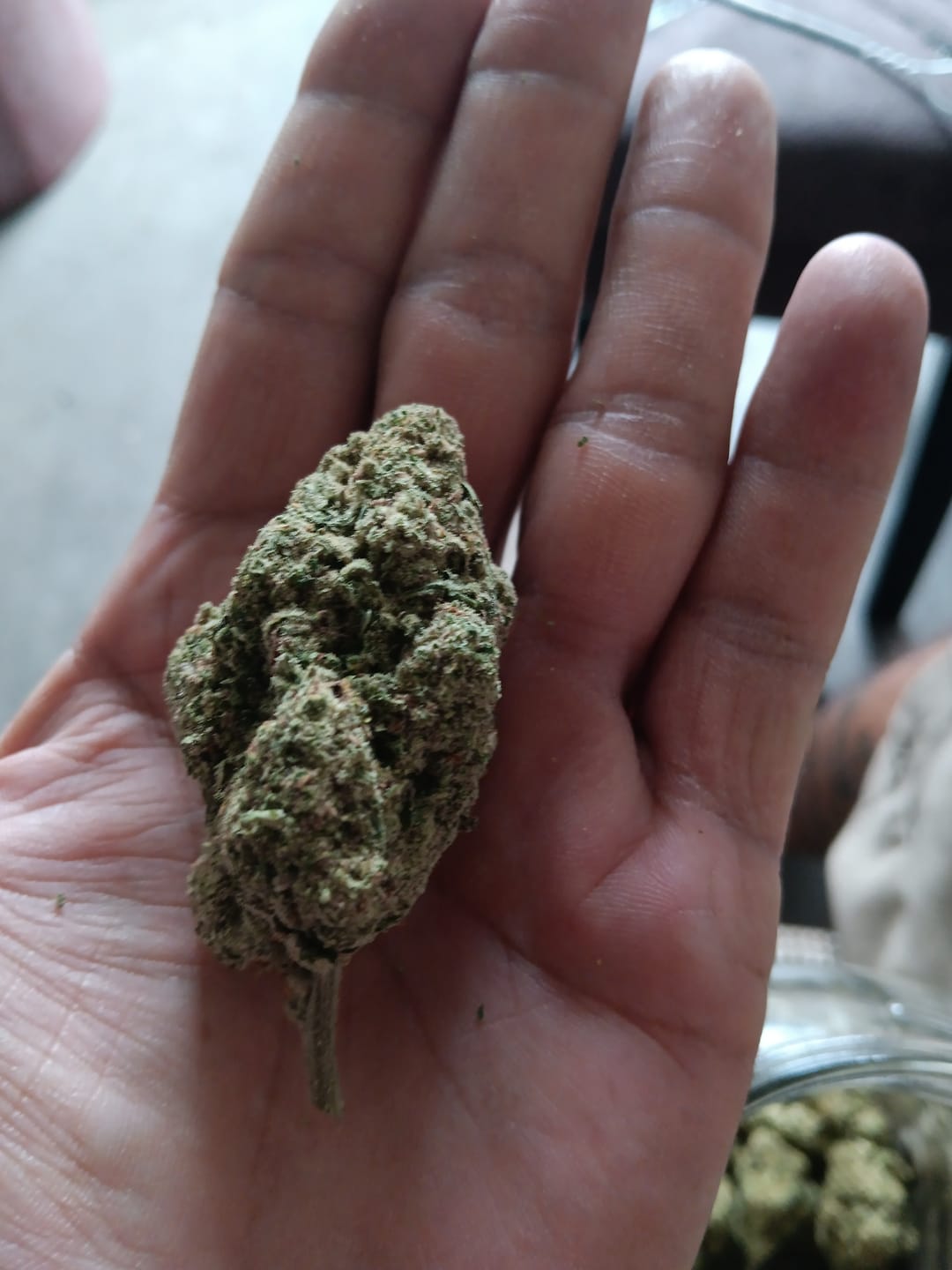 Customer photo review of Lyon King THCA Flower