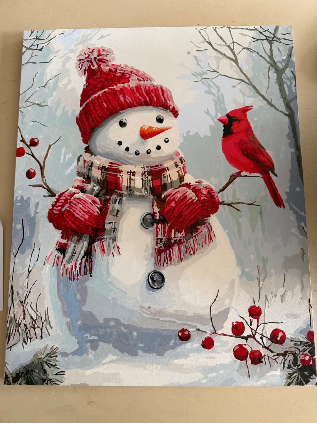 Customer photo review of The Cardinal’s Snowman