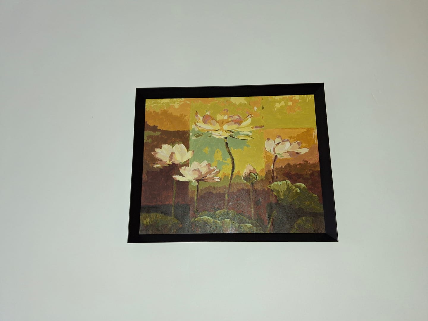 Customer photo review of Nénuphars en Fleurs