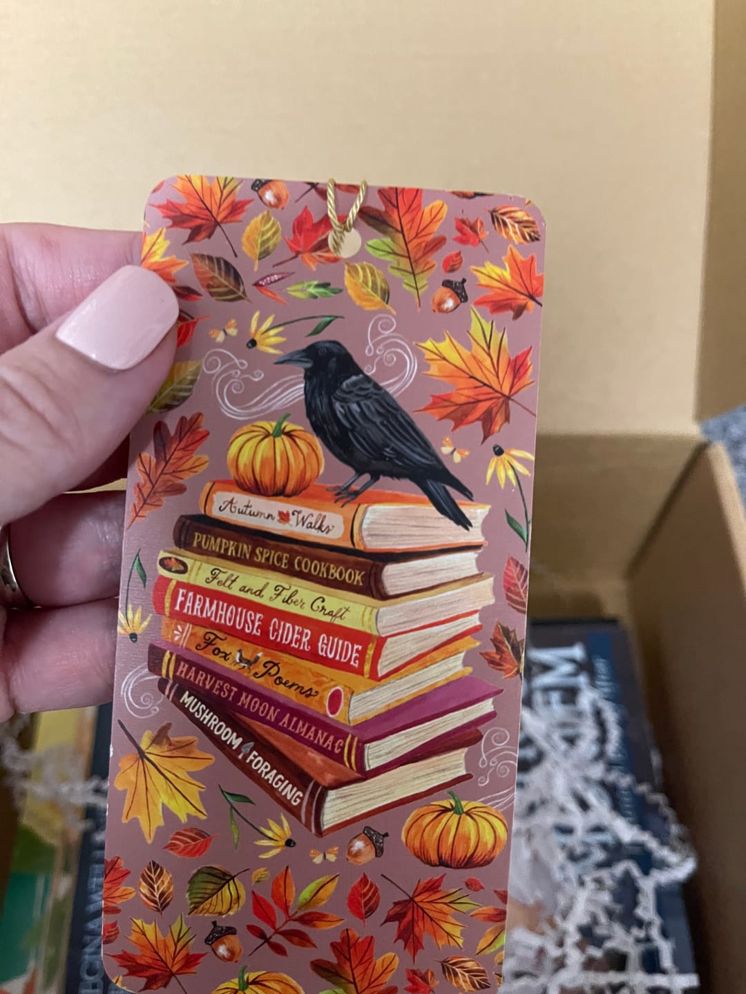 Customer photo review of Witch Cozy Mysteries (2025) One-Time Book Box