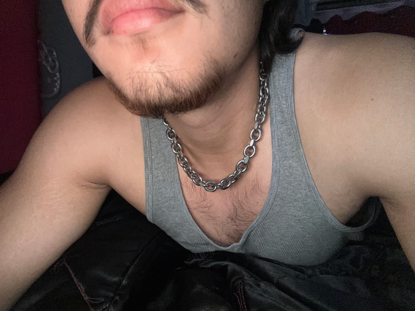 Customer photo review of ARIES CHAIN
