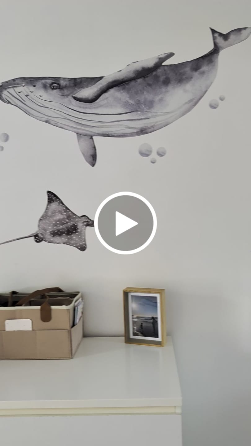 Customer video review of Ocean Wall Decal Set