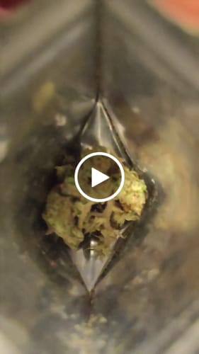 Customer video review of THC-A Pre-Roll Cali Blend |2g|