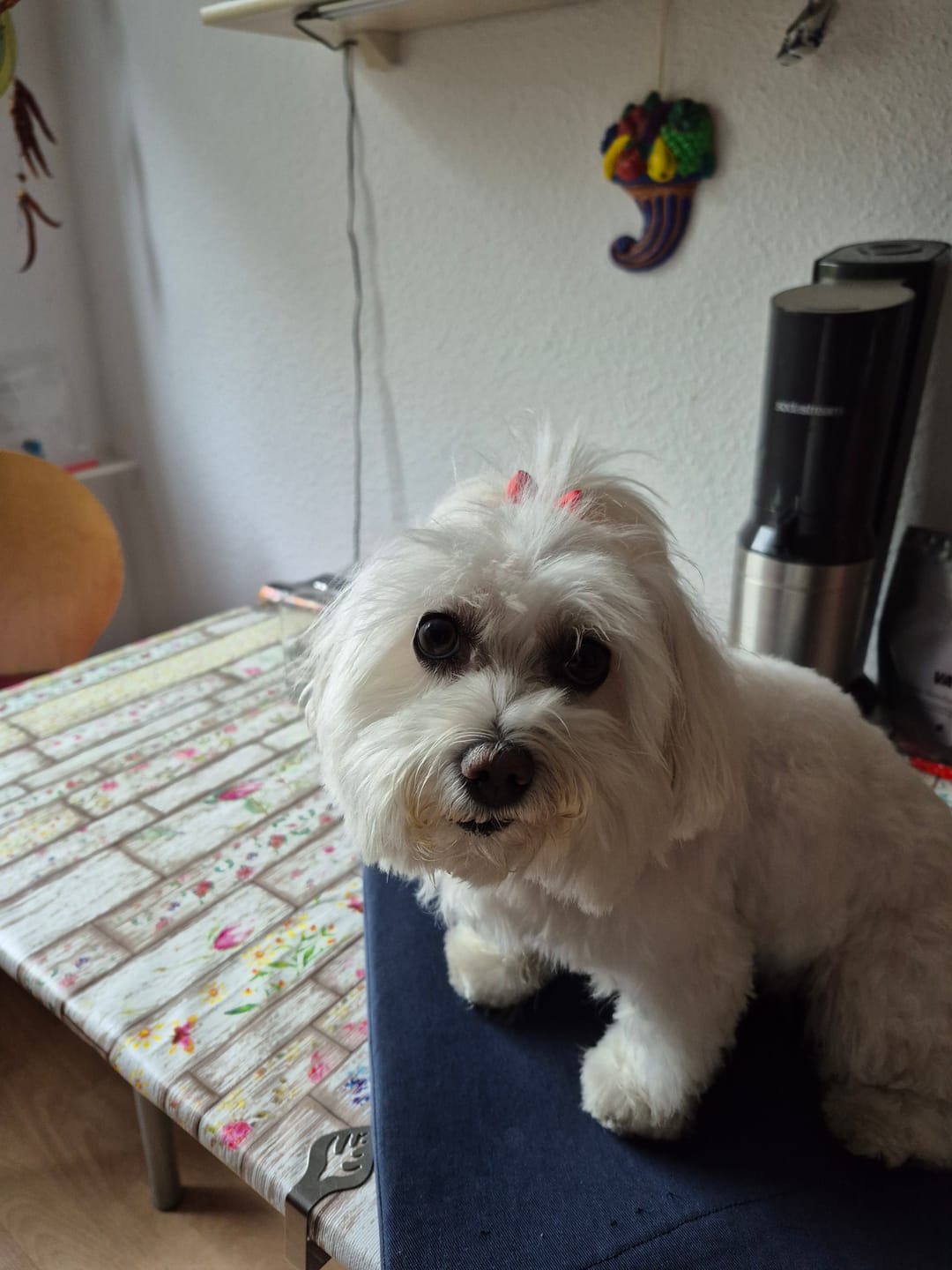 Customer photo review of Personalisierte Handyhülle - Graffiti