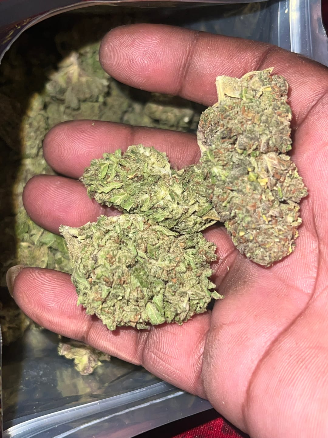 Customer photo review of THCA Queen