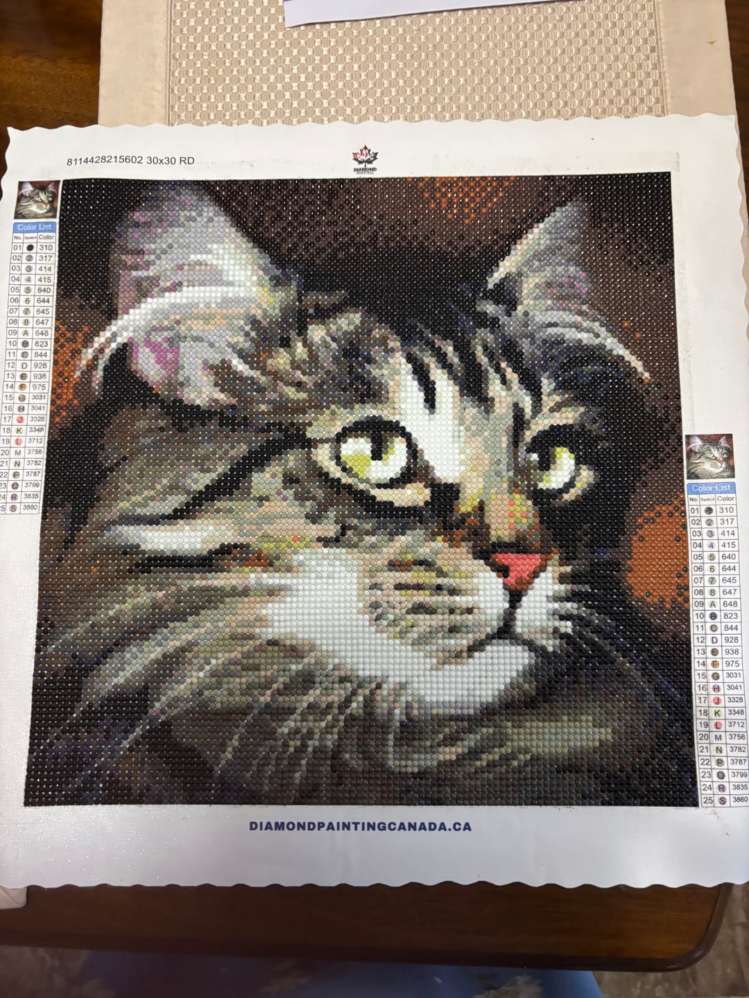 Customer photo review of Popular Cat Full Drill - 5D Diy Diamond Painting Kits VM1185