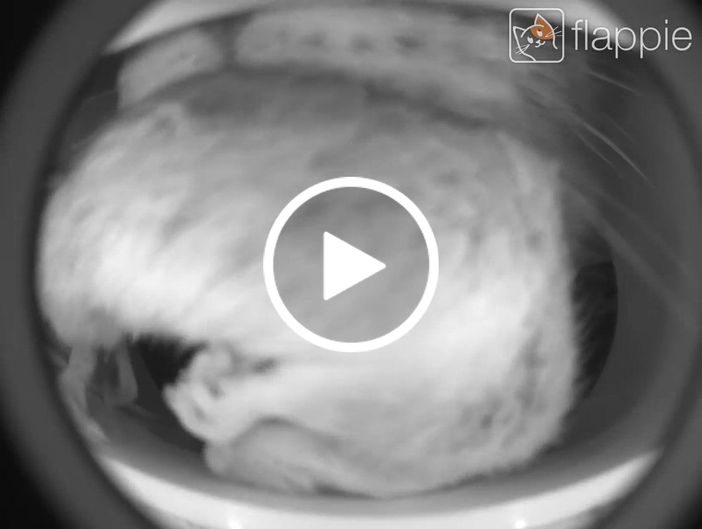 Customer video review of Flappie®