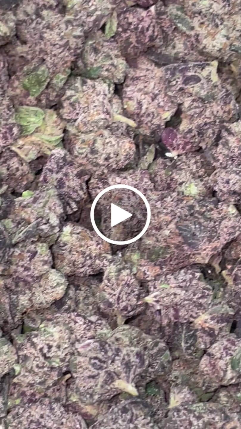 Customer video review of Watermelon Zkittlez Smalls THCA Flower (Exotic)