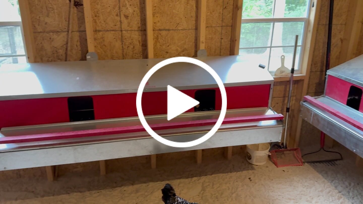 Customer video review of X-Large (72") Reversible Roll-out Nest Box (Up to 75 Hens)