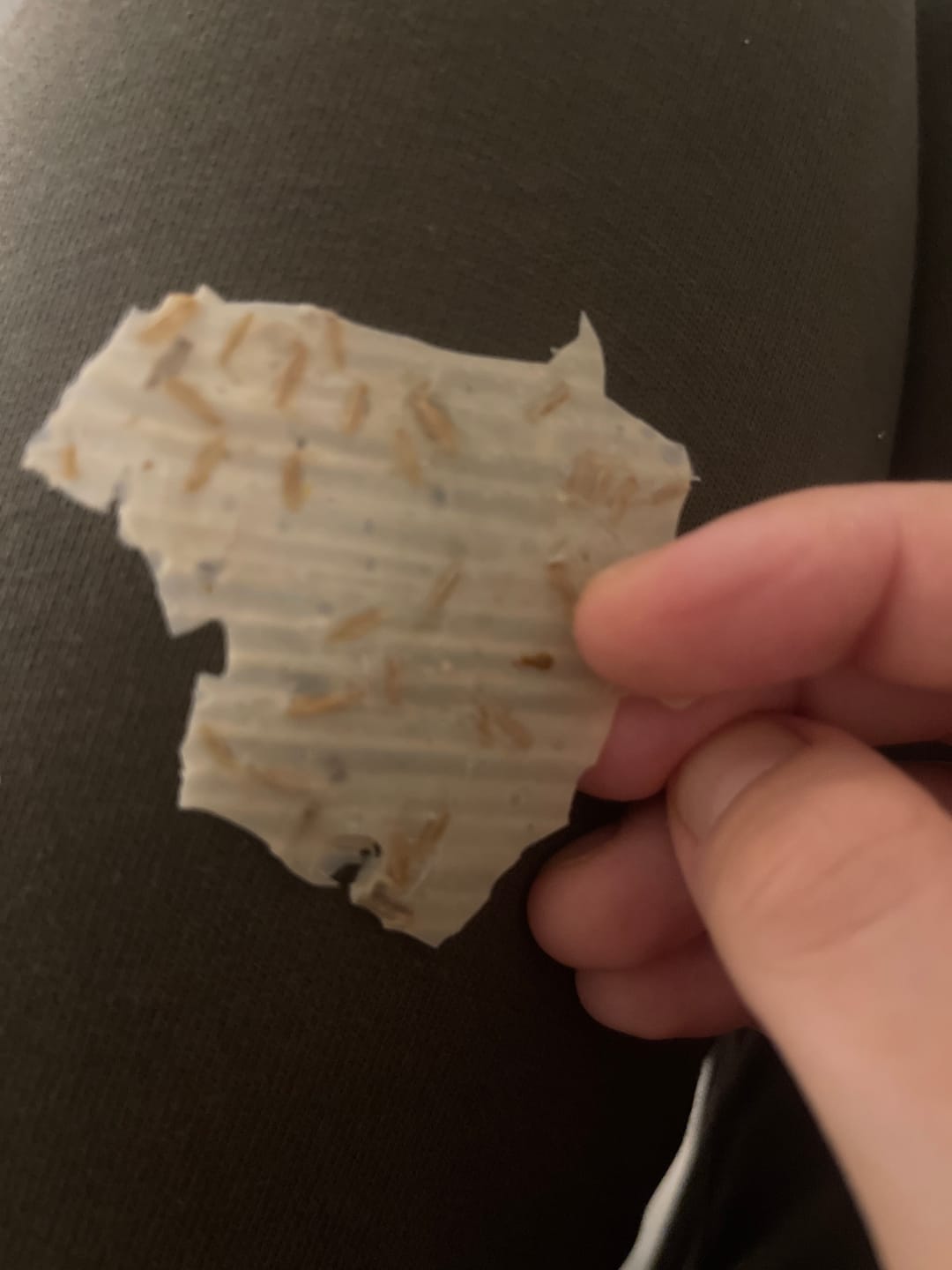 Customer photo review of Haşiroğlu Tarhana Cipsi  Thymianchips Klassik