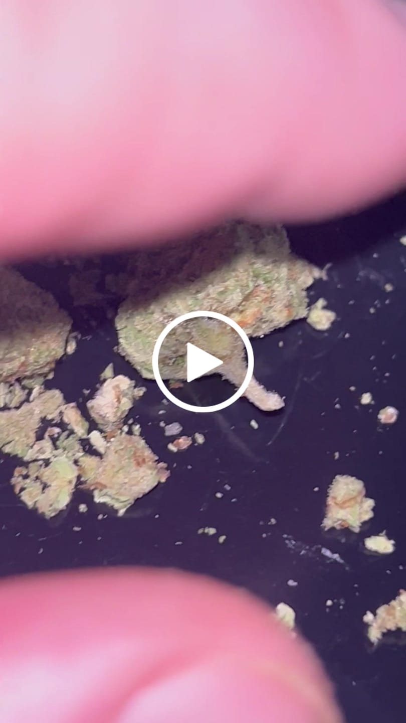 Customer video review of Strawberry Cough THCA Flower
