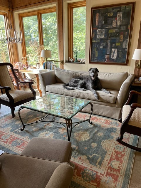Customer photo review of Turkish Oushak Rug 6x9, Sultanabad Carpet, Medium Size Oriental Rug