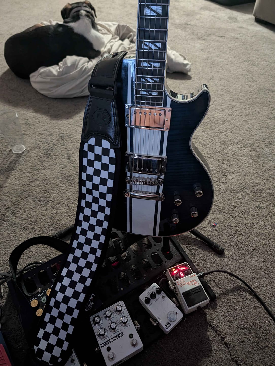 Customer photo review of Zero-Gravity Guitar Strap | Weightless Comfort for Bass & Guitar